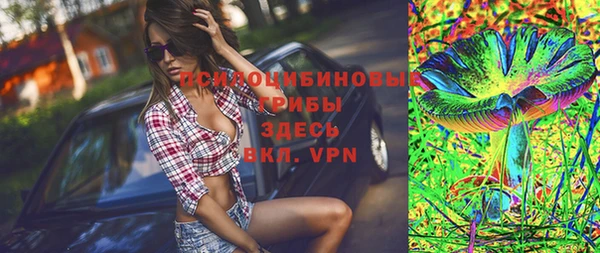 2c-b Верея