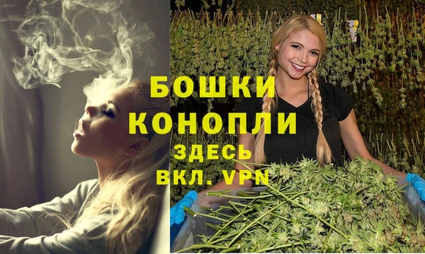 mdpv Волоколамск