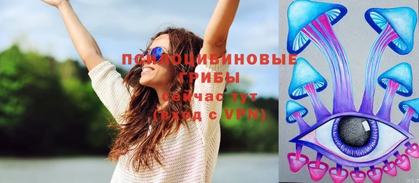 mdpv Волоколамск