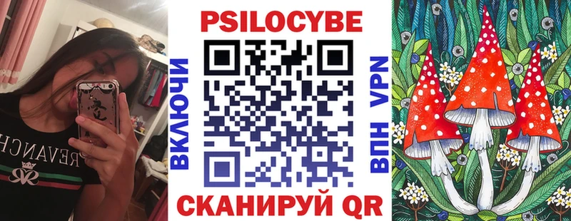 Галлюциногенные грибы Psilocybe  Зуевка 